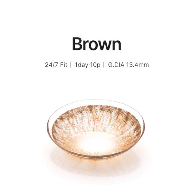 247 Fit Brown (Daily/10p)