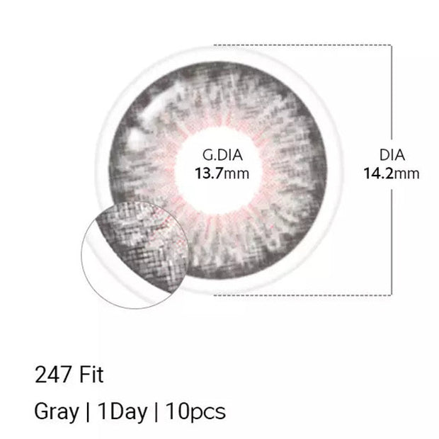247 Fit Gray (Daily/10p)