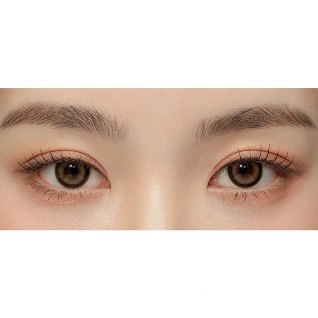 GlamMic Soft Brown (1year/Box Lens)