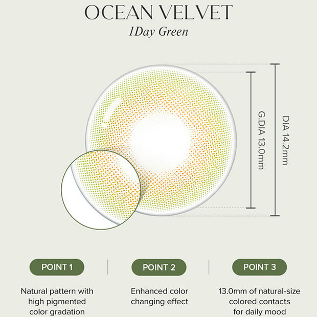 Ocean Velvet Green (Daily/10p)