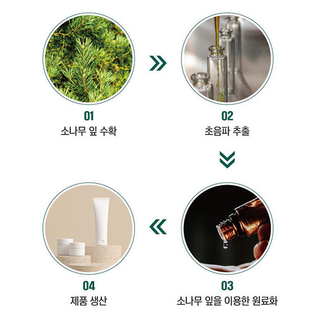 Pine Calming Cica Lotion