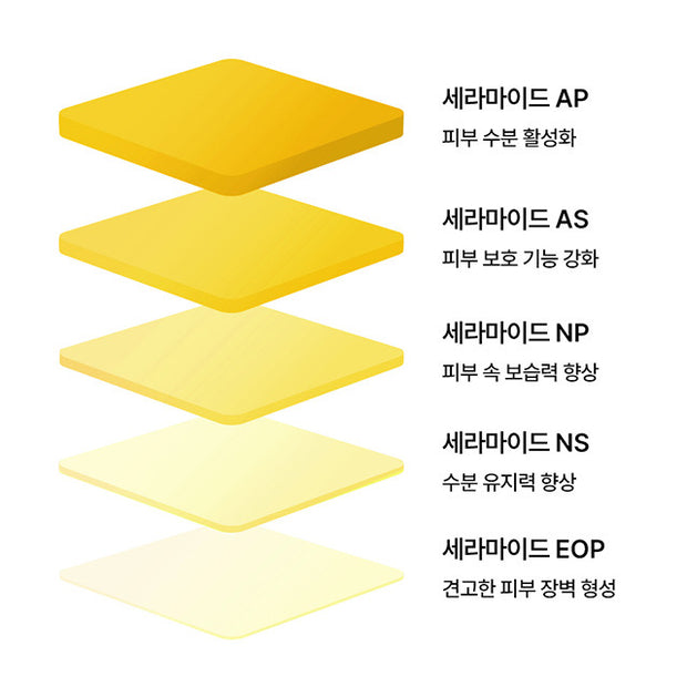 Solid In Ceramide Lip Essence