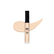 Big Cover Skin Fit Concealer Pro