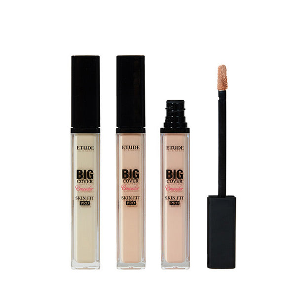 Big Cover Skin Fit Concealer Pro