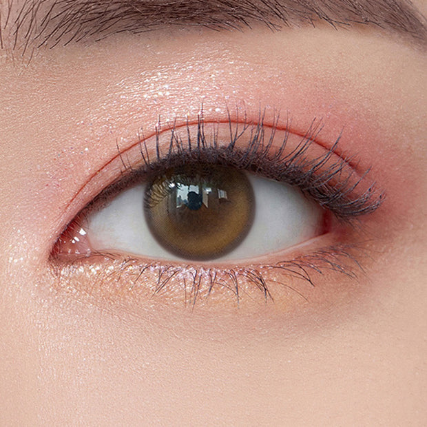 Double Tint Brown (1month/2pieces)