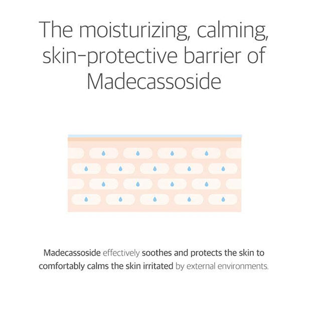the moisturising, calming, skin-protective barrier of madecassoside