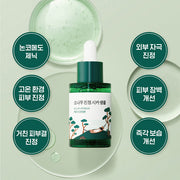 Pine Calming Cica Ampoule