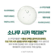 Pine Calming Cica Ampoule