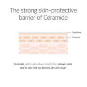 the strong skin-protective barrier of ceramide