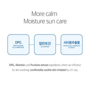 Birch Juice Moisturizing Sunscreen