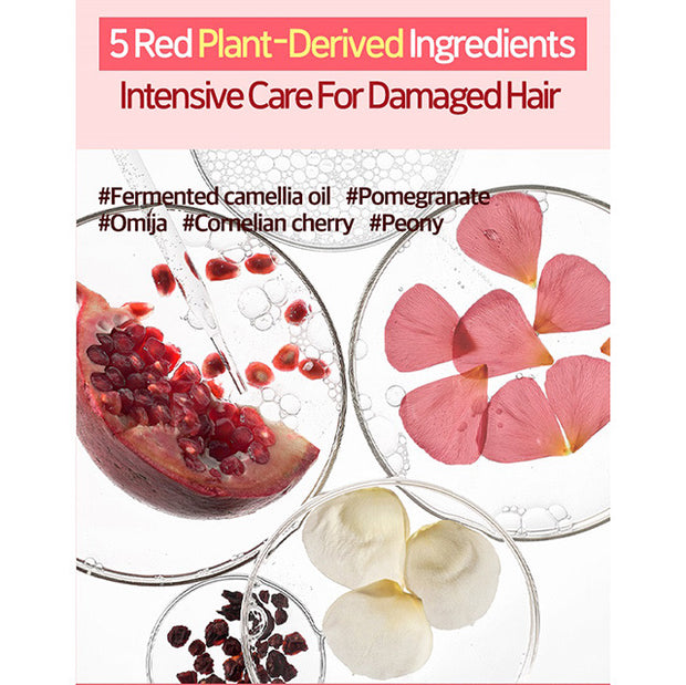 Damage Care & Nourishing Conditioner 550mL